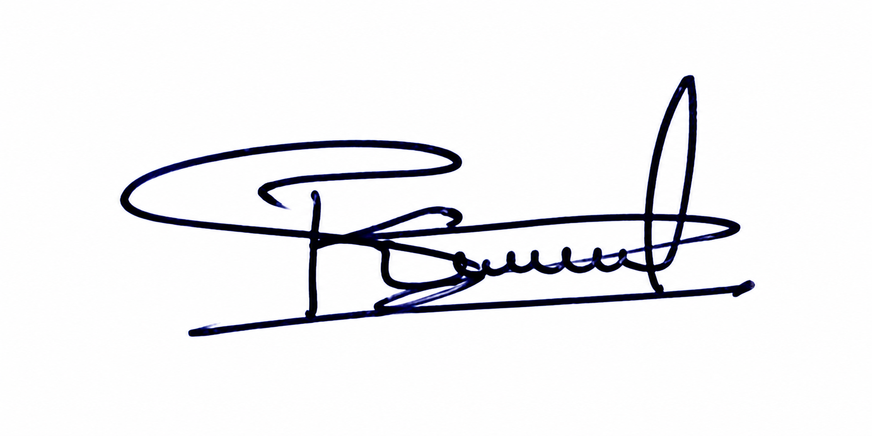 Signature preview