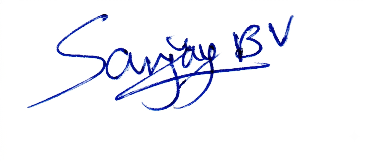 Signature preview