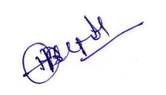 Signature preview