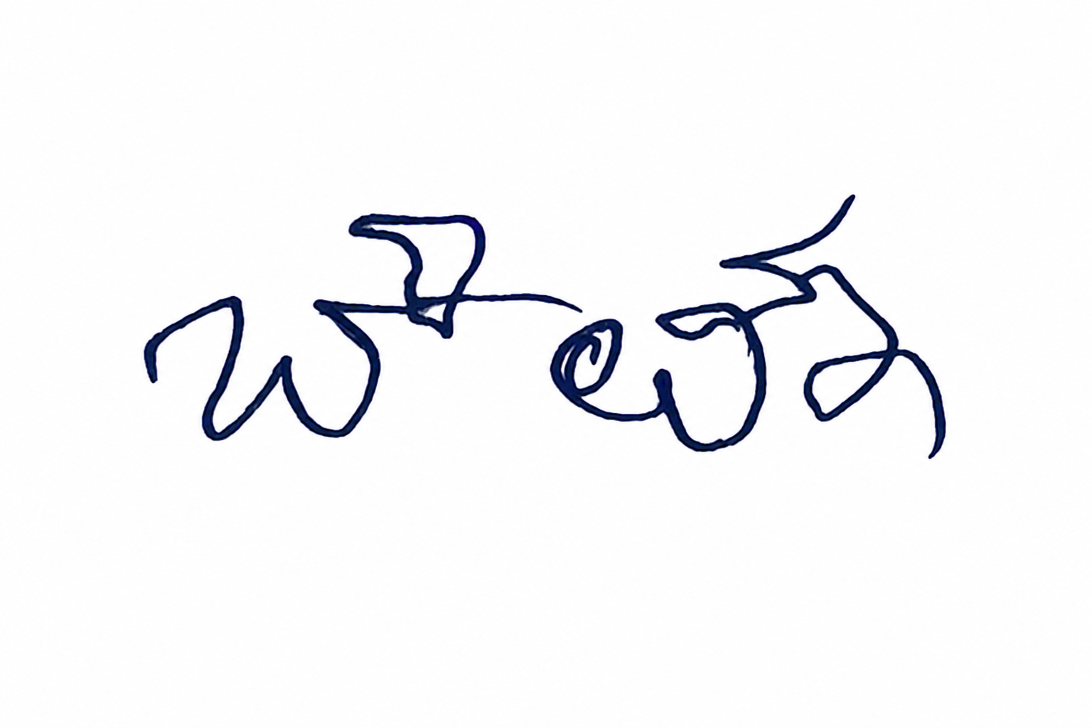 Signature preview