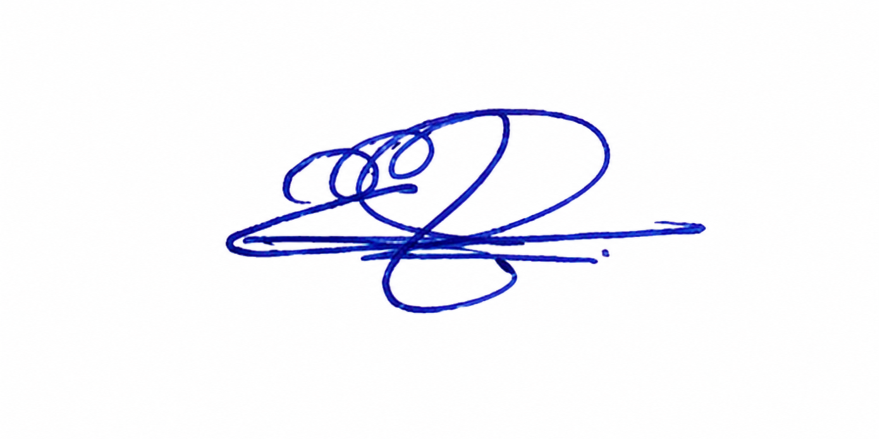 Signature preview