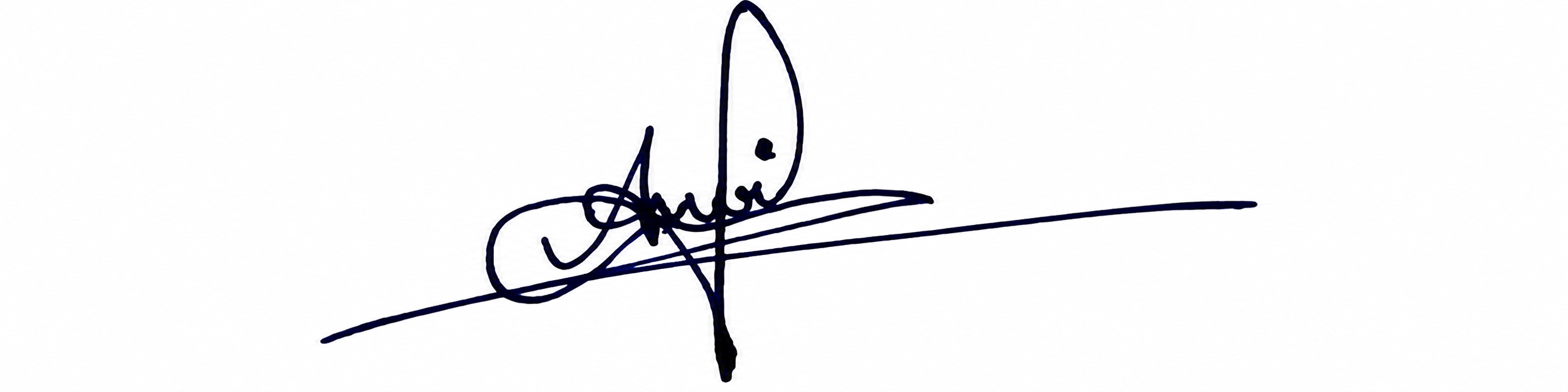 Signature preview