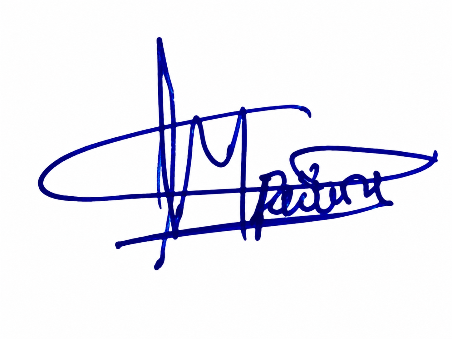 Signature preview