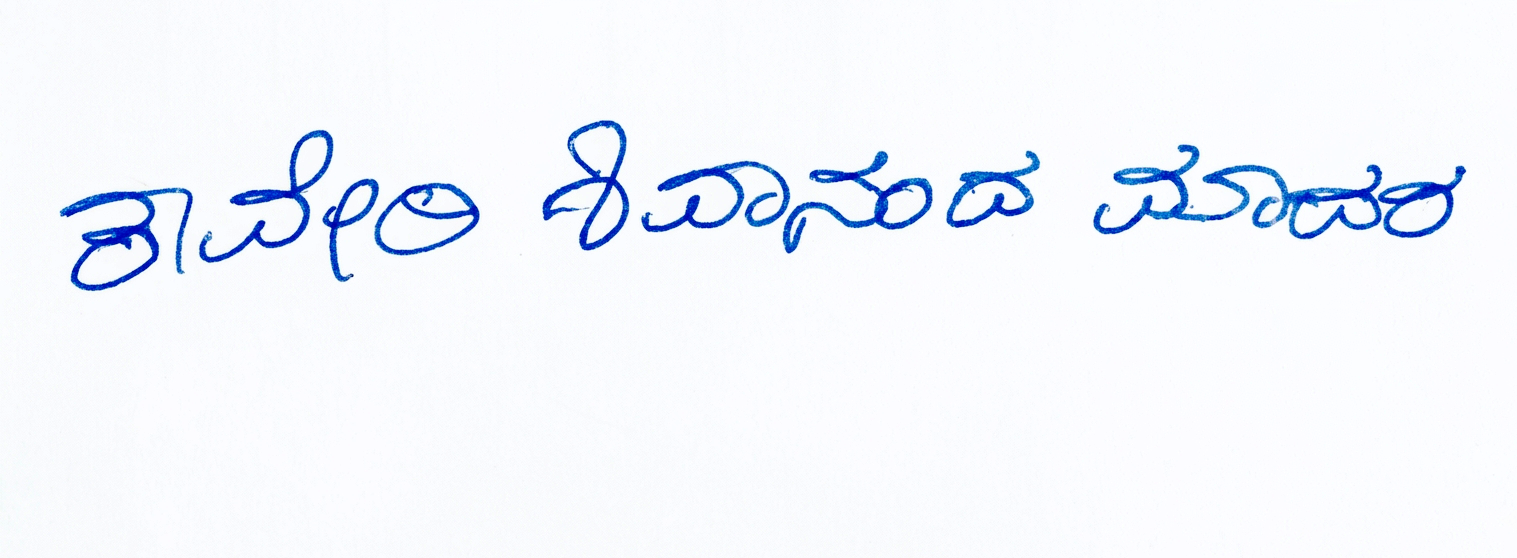 Signature preview