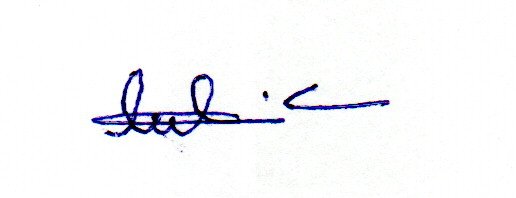 Signature preview