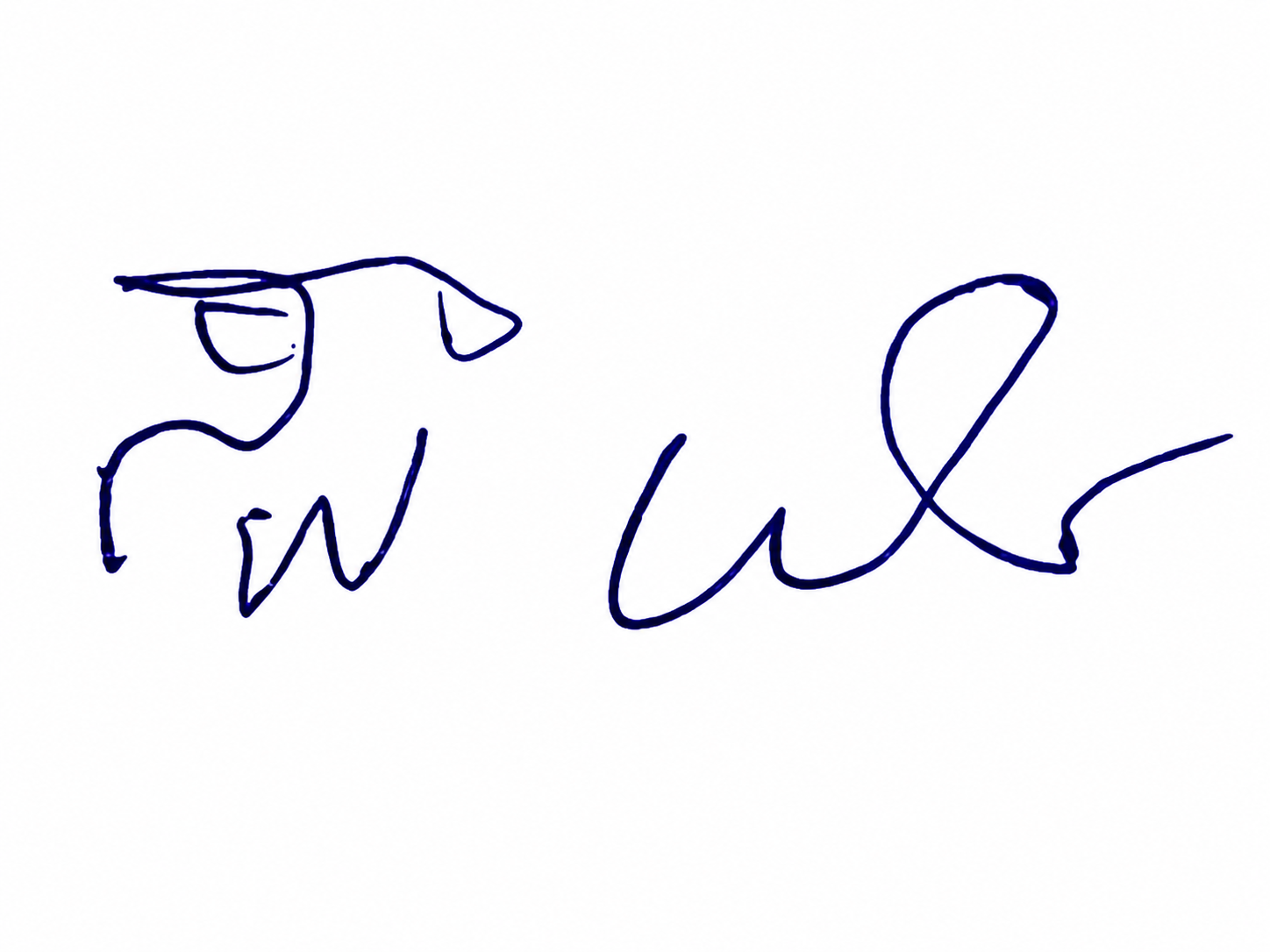 Signature preview