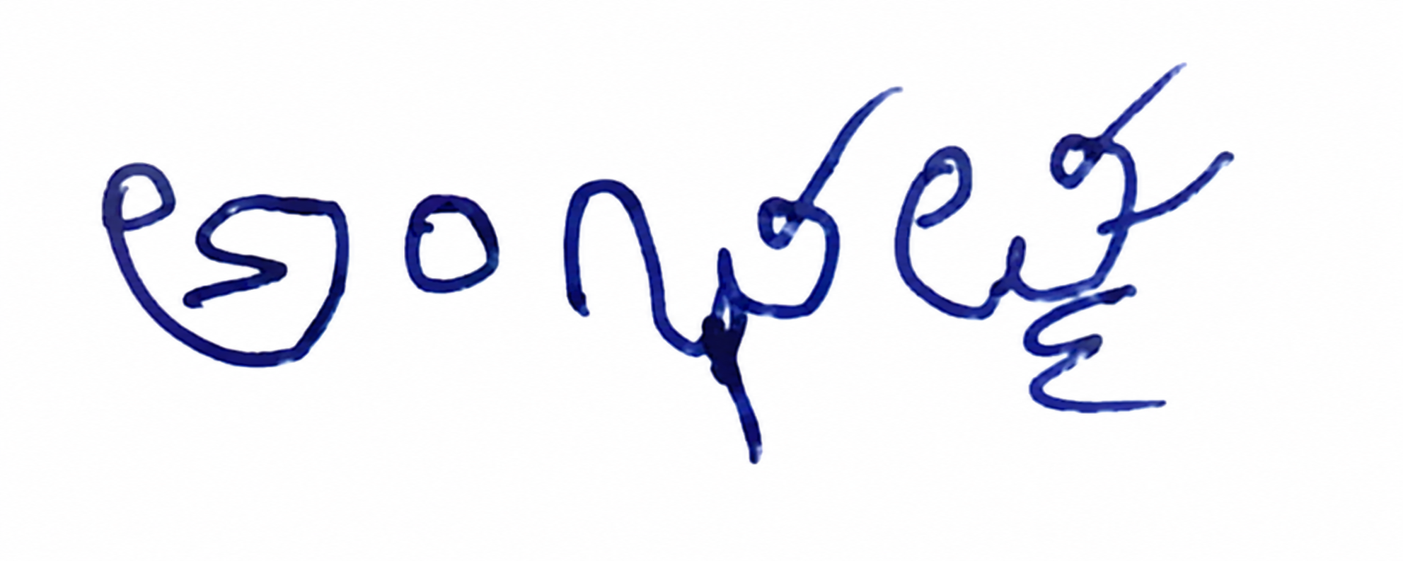 Signature preview