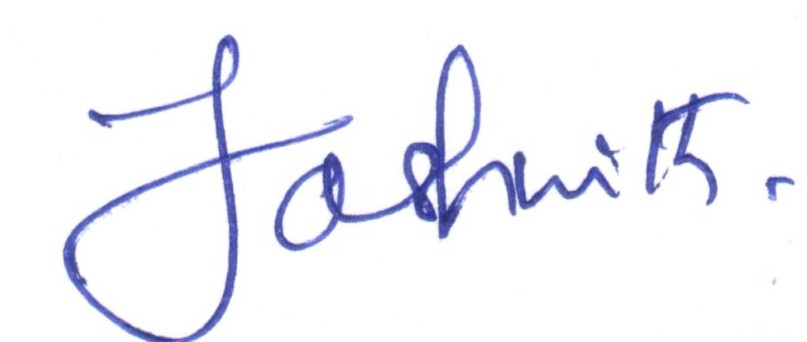 Signature preview