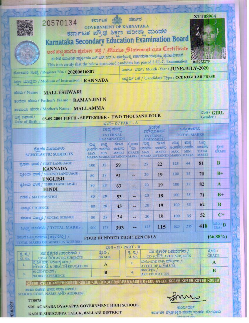 Matriculation certificate or mark sheet of recognised board (In Copy) preview