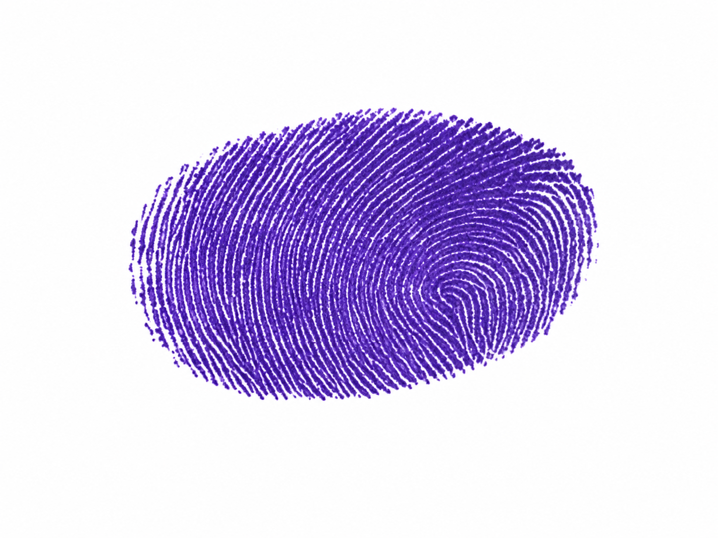 Signature preview