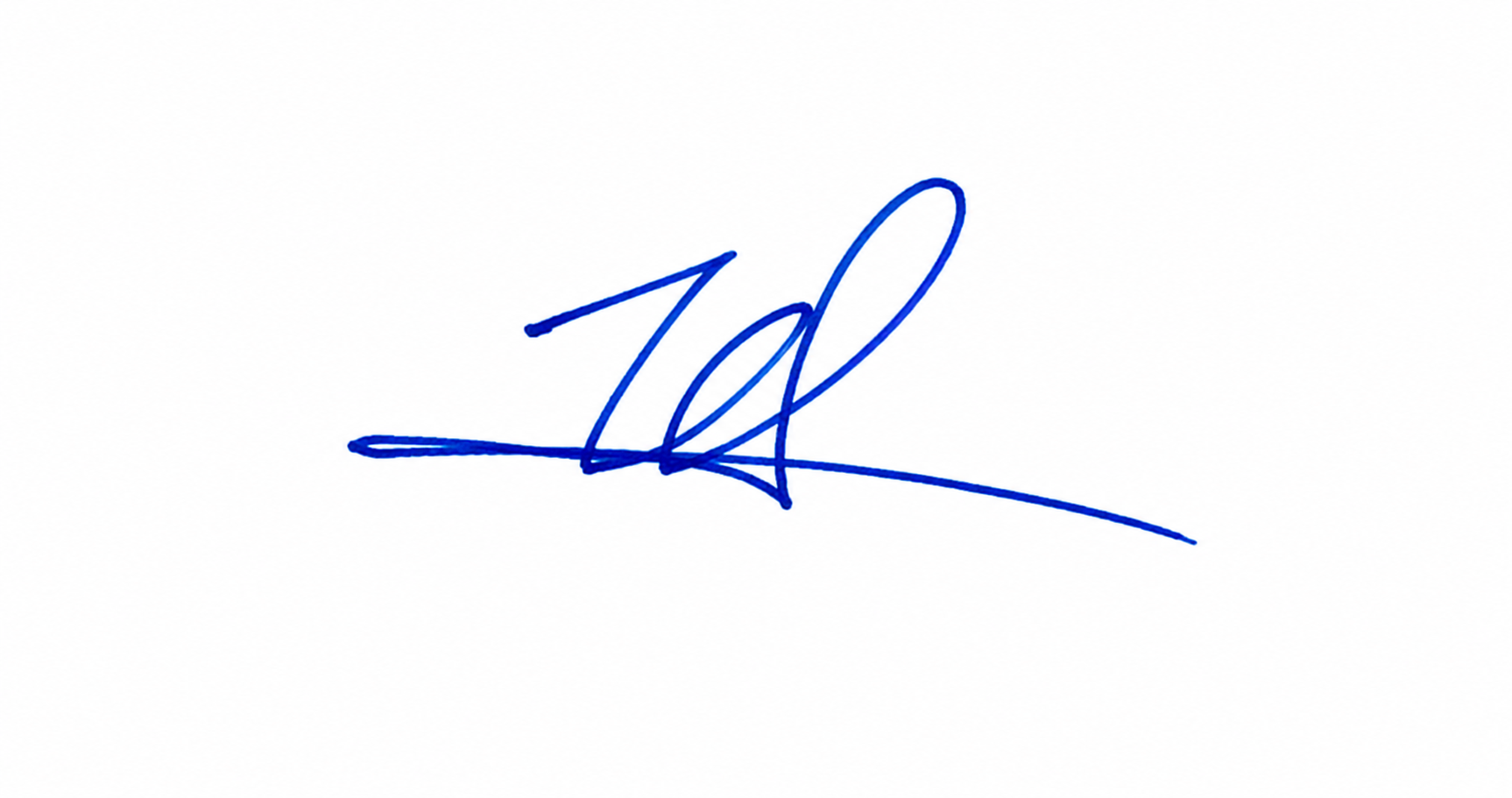 Signature preview