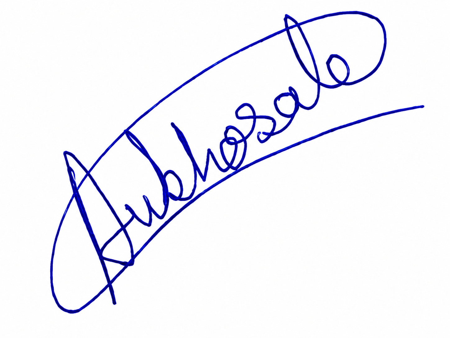 Signature preview
