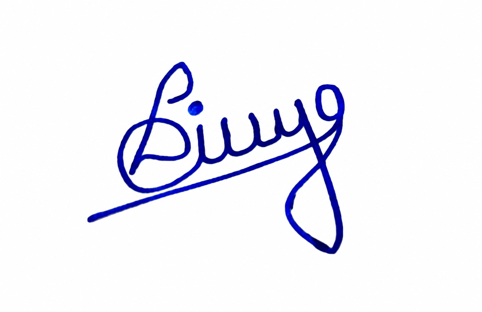 Signature preview