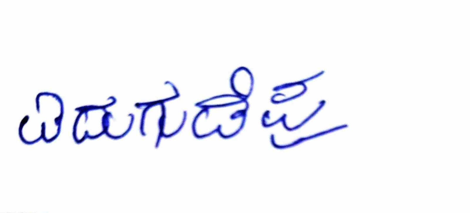 Signature preview