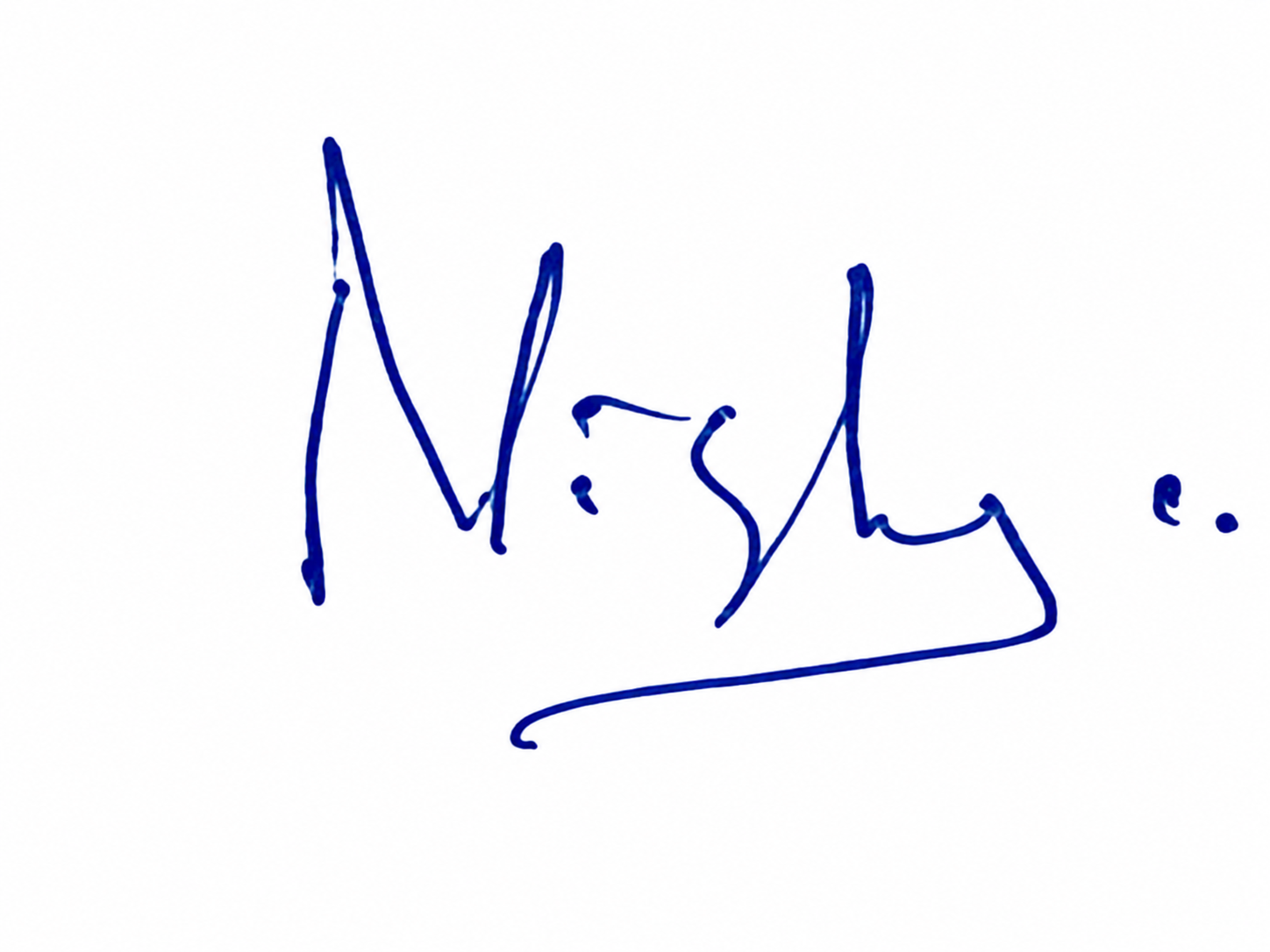 Signature preview