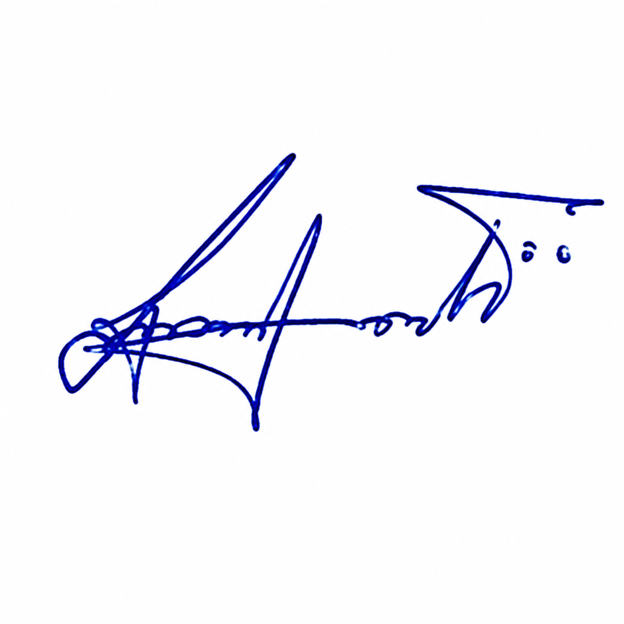 Signature preview