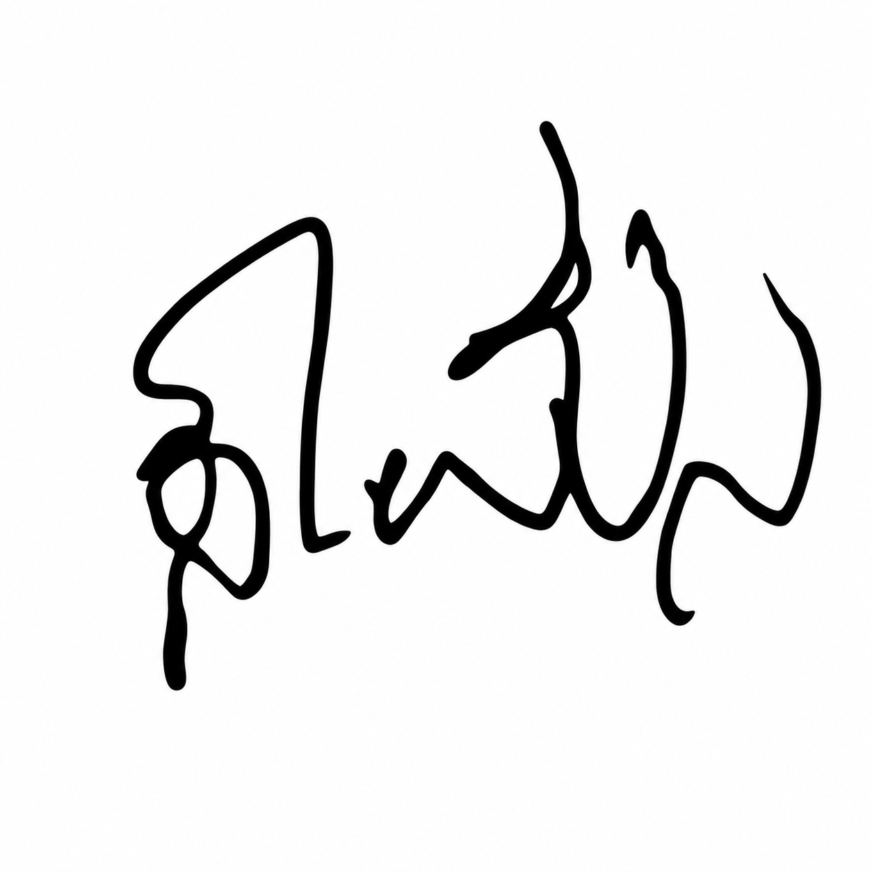 Signature preview
