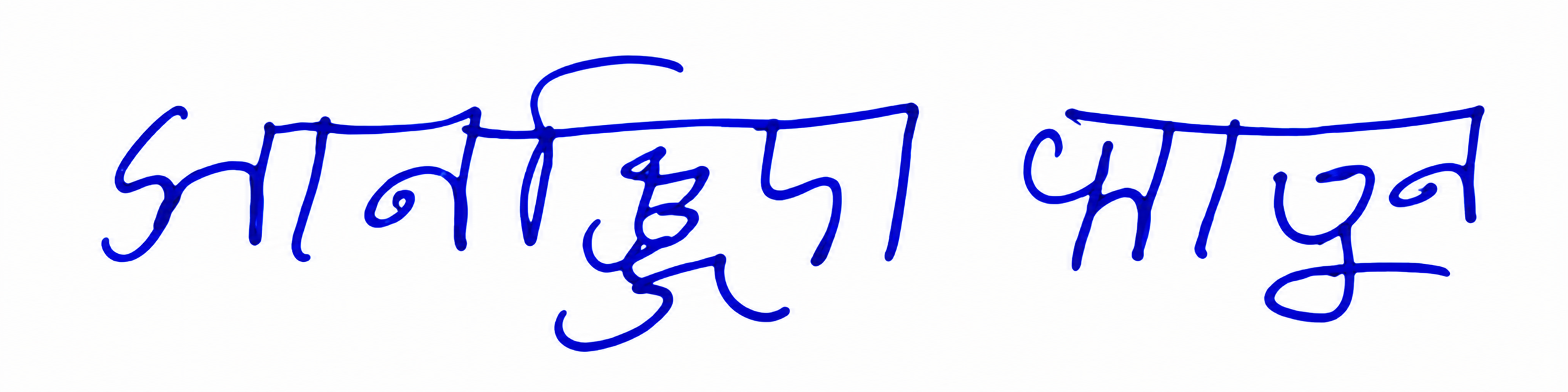 Signature preview