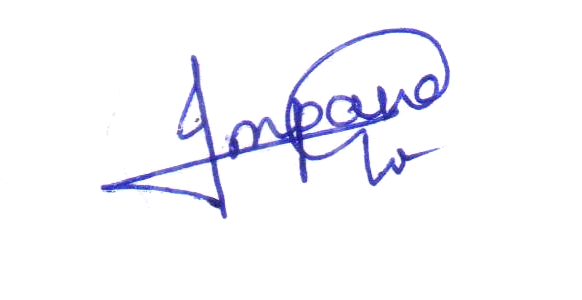 Signature preview