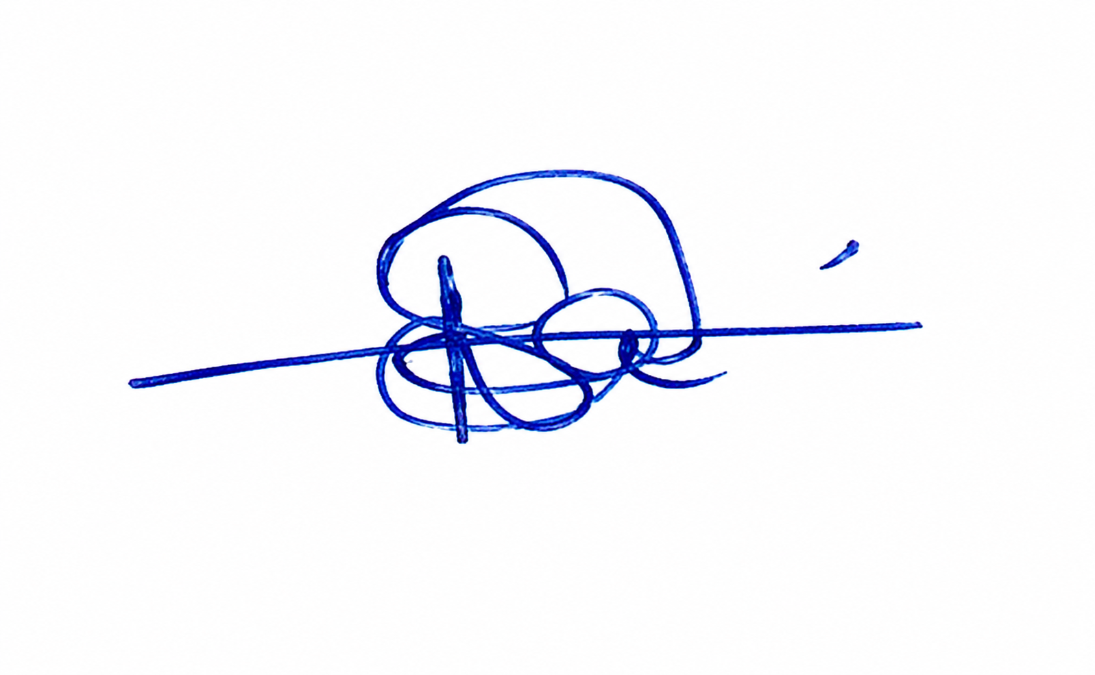 Signature preview
