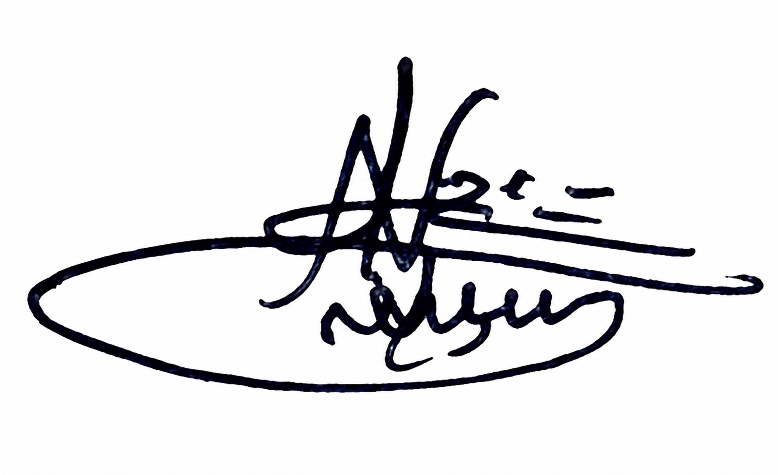 Signature preview