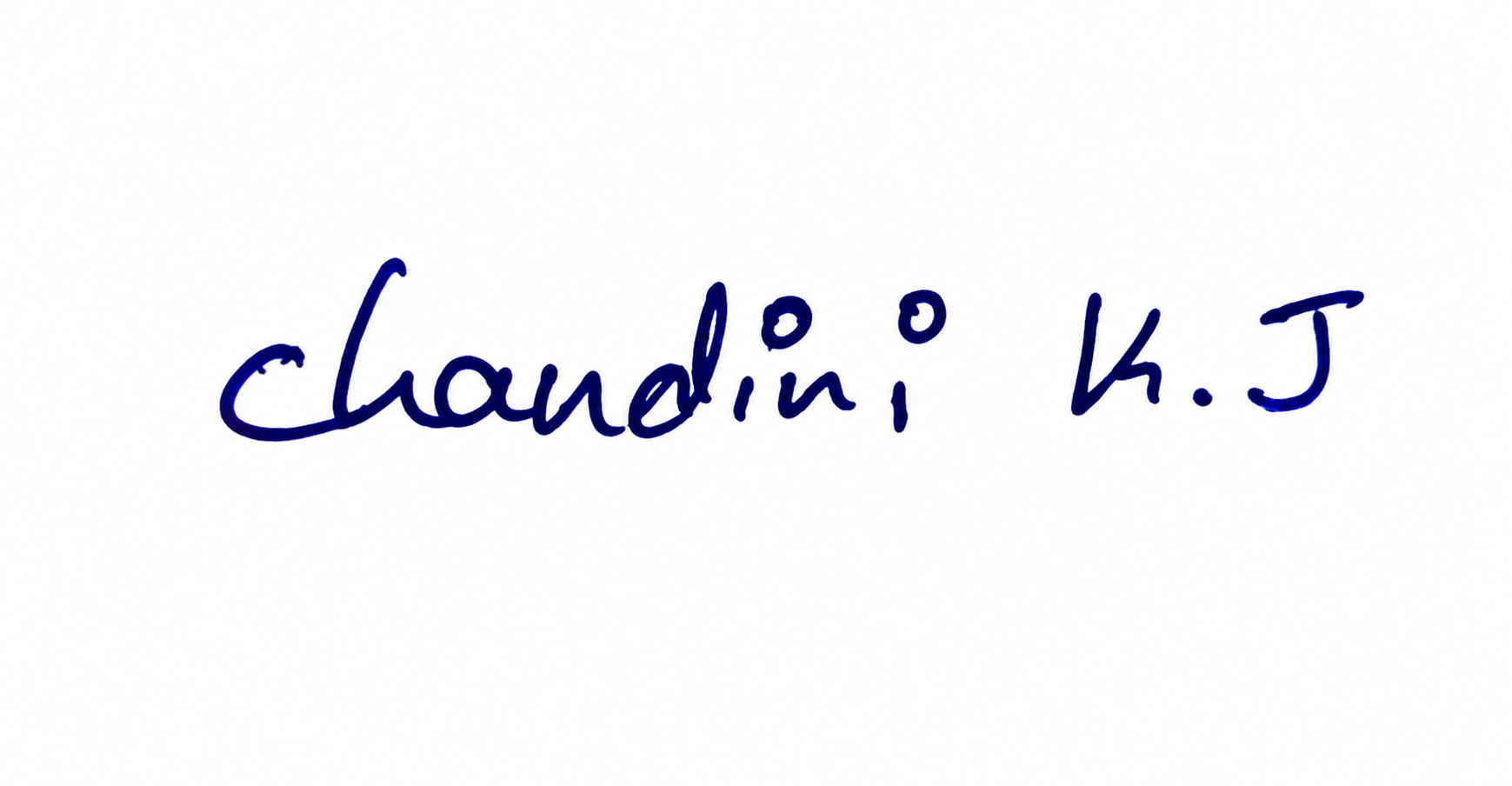 Signature preview