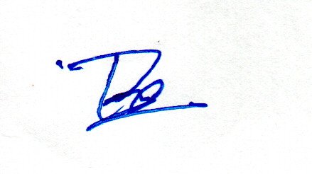 Signature preview