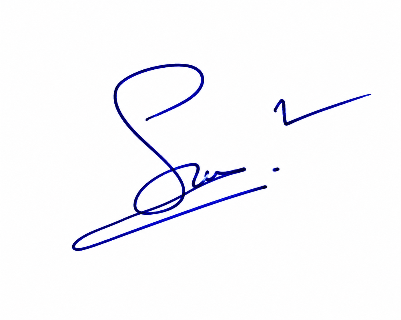 Signature preview