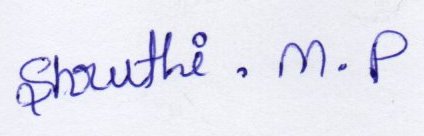 Signature preview