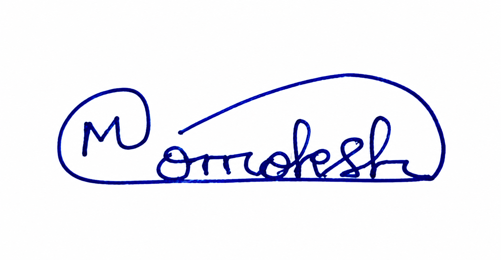 Signature preview