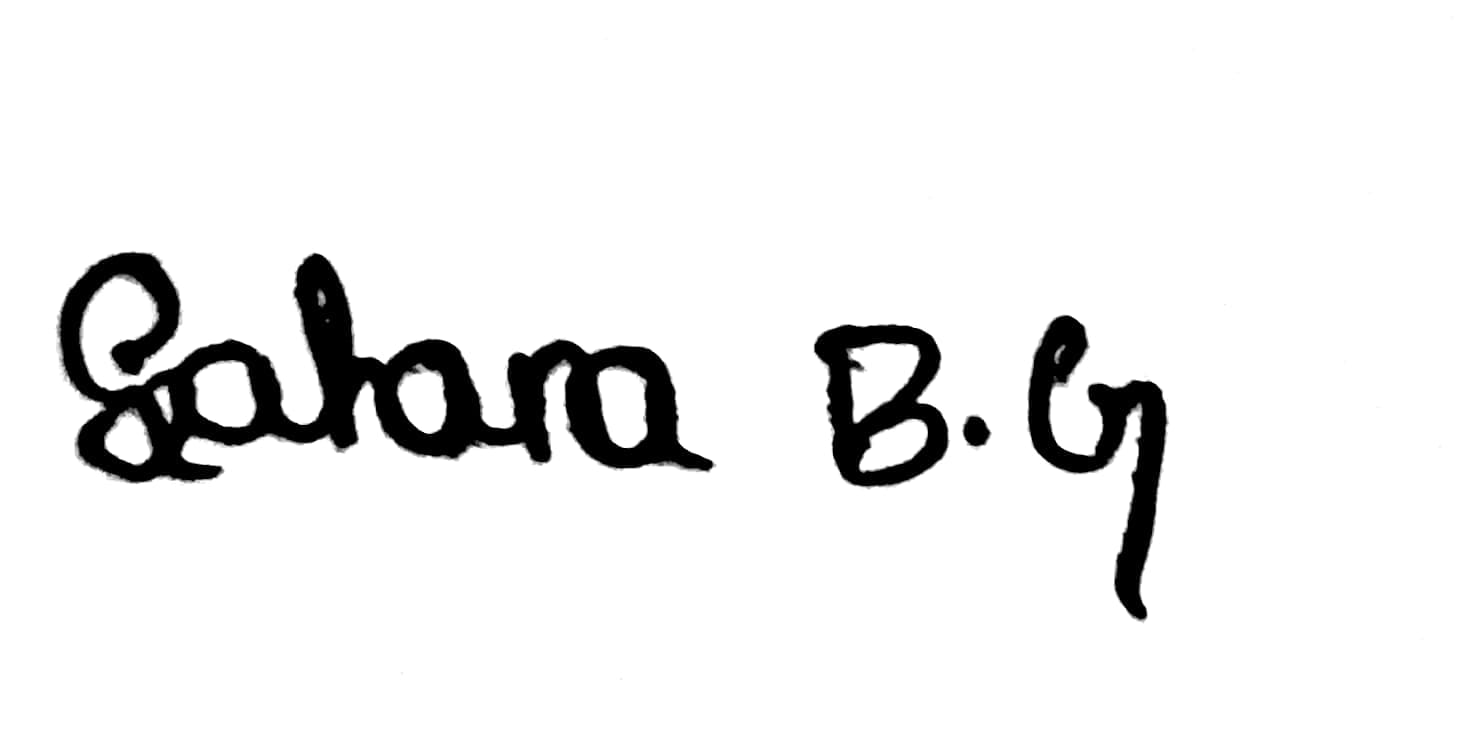 Signature preview
