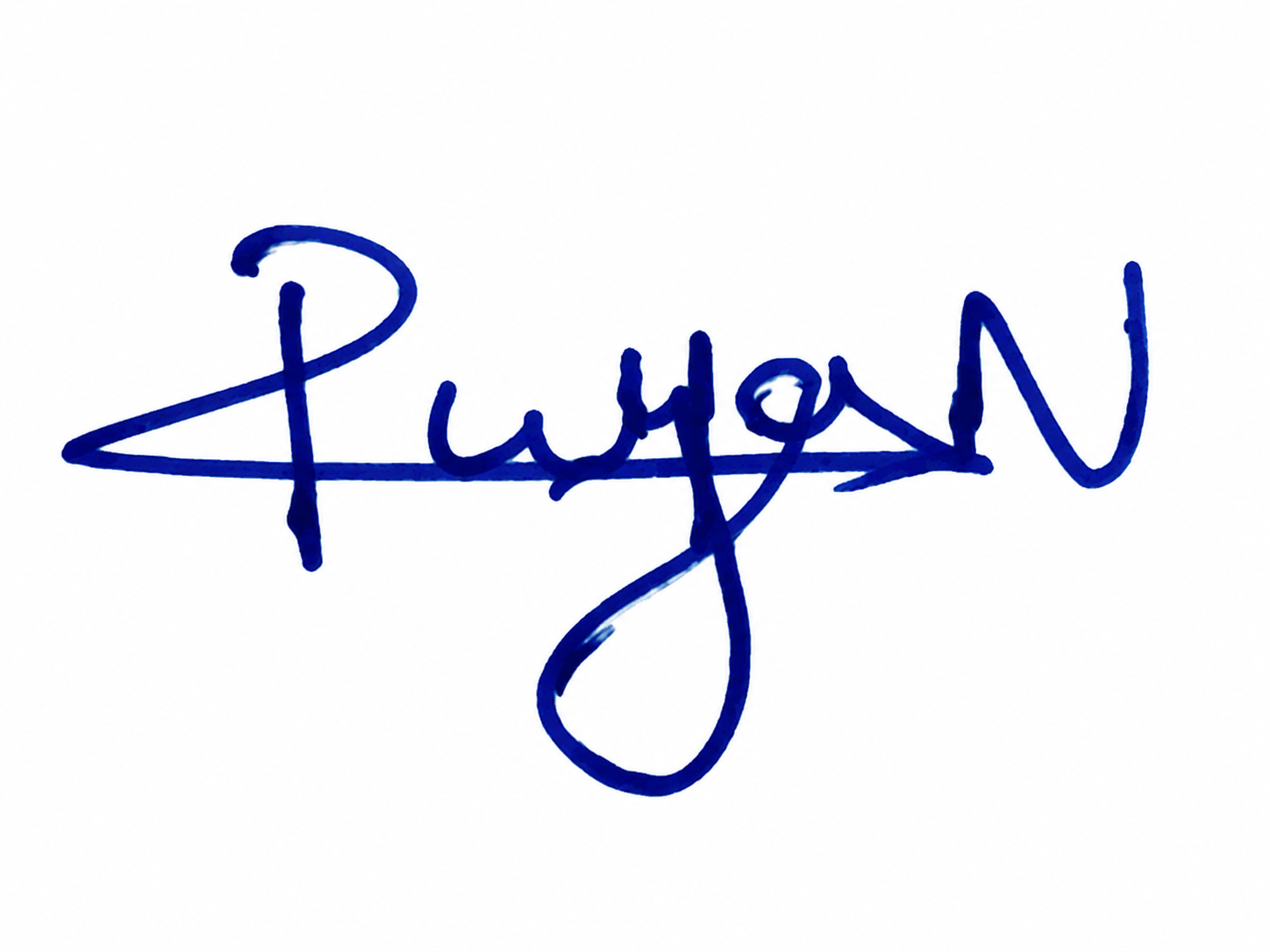 Signature preview