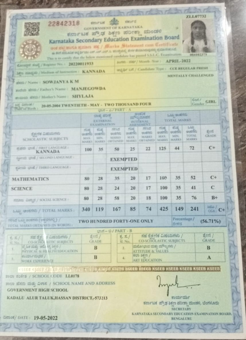 Matriculation certificate or mark sheet of recognised board (In Copy) preview