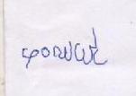 Signature preview