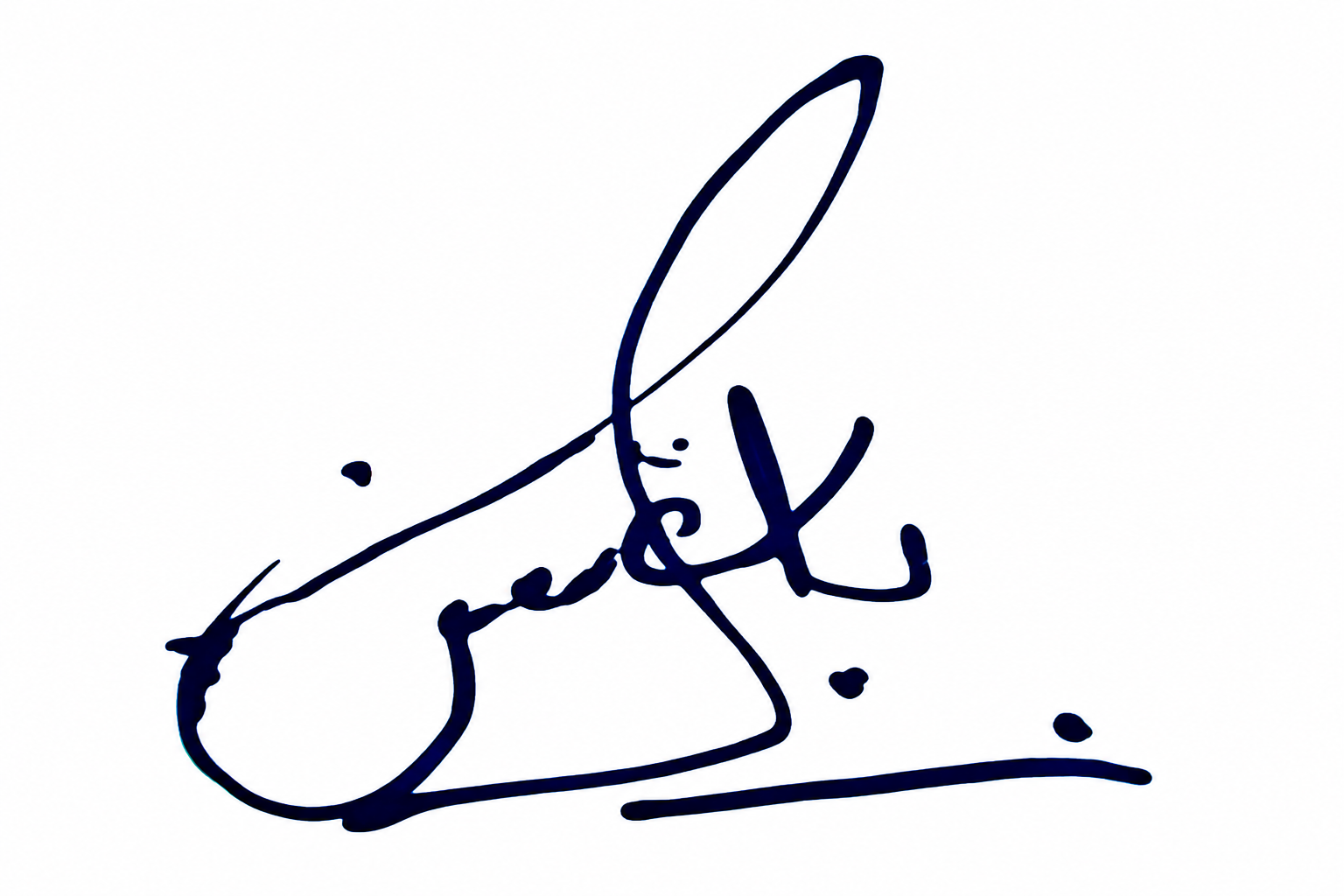 Signature preview