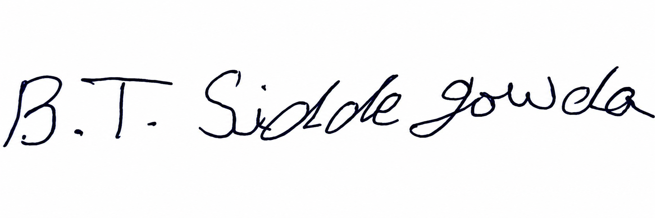 Signature preview