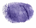 Signature preview