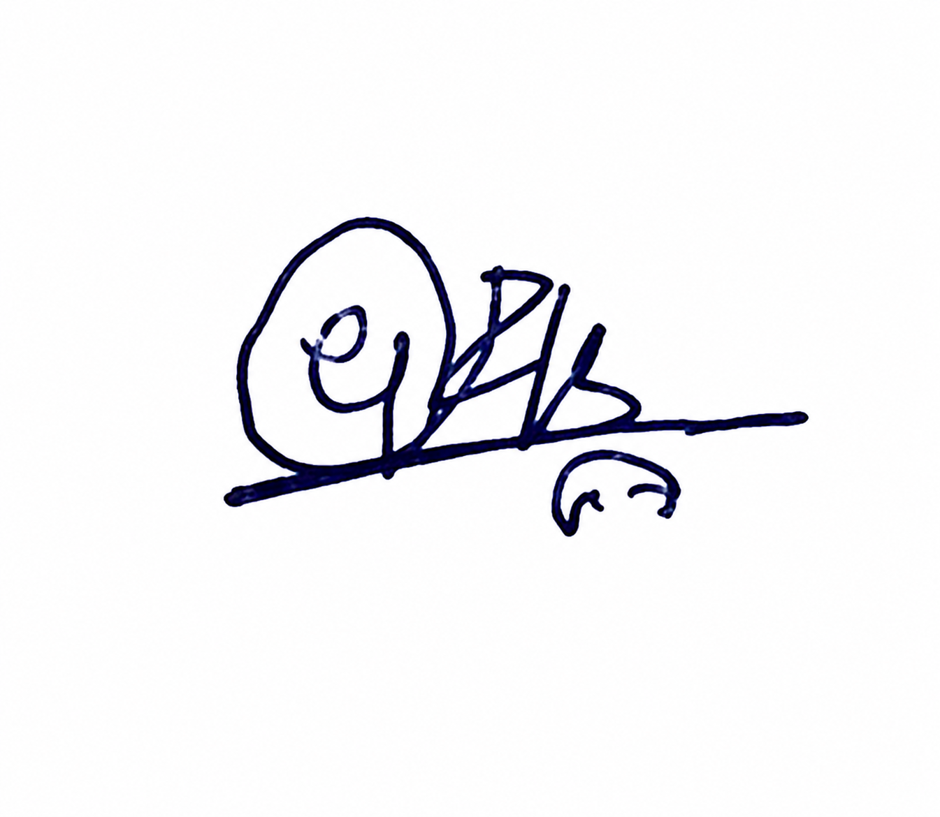 Signature preview