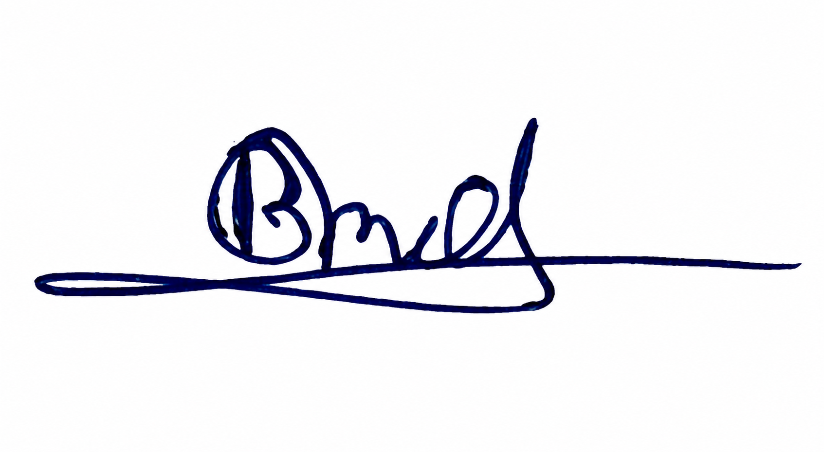 Signature preview