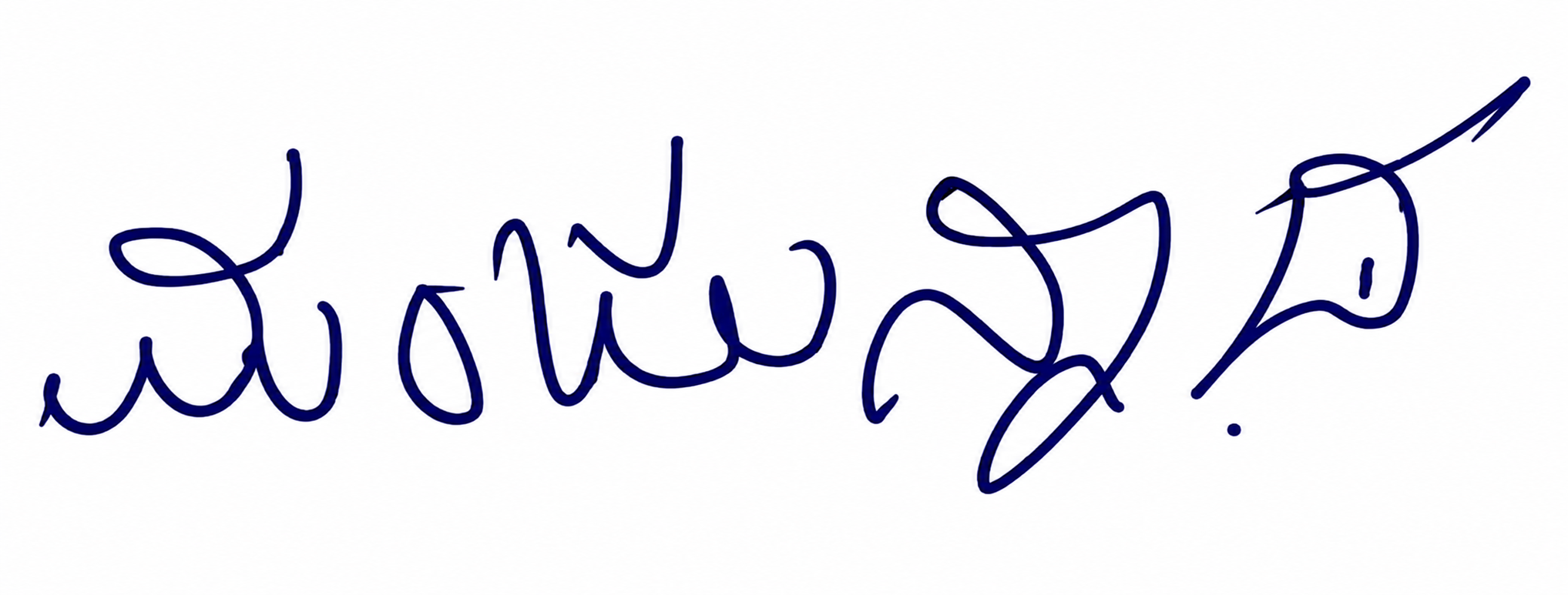 Signature preview