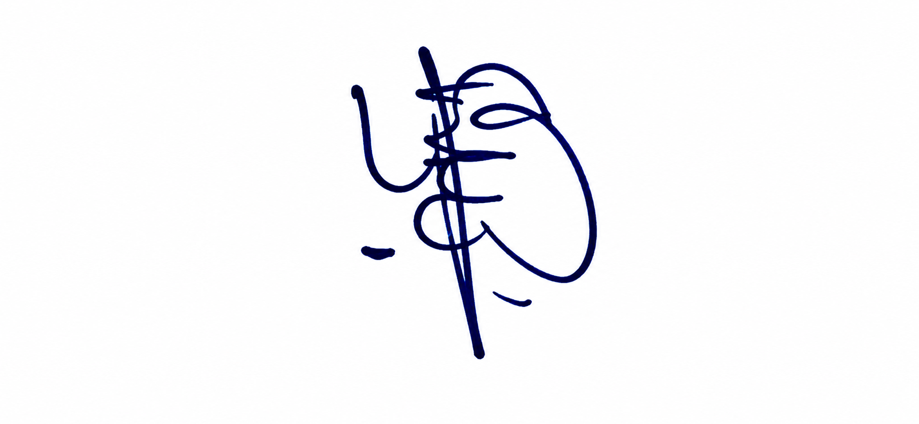 Signature preview