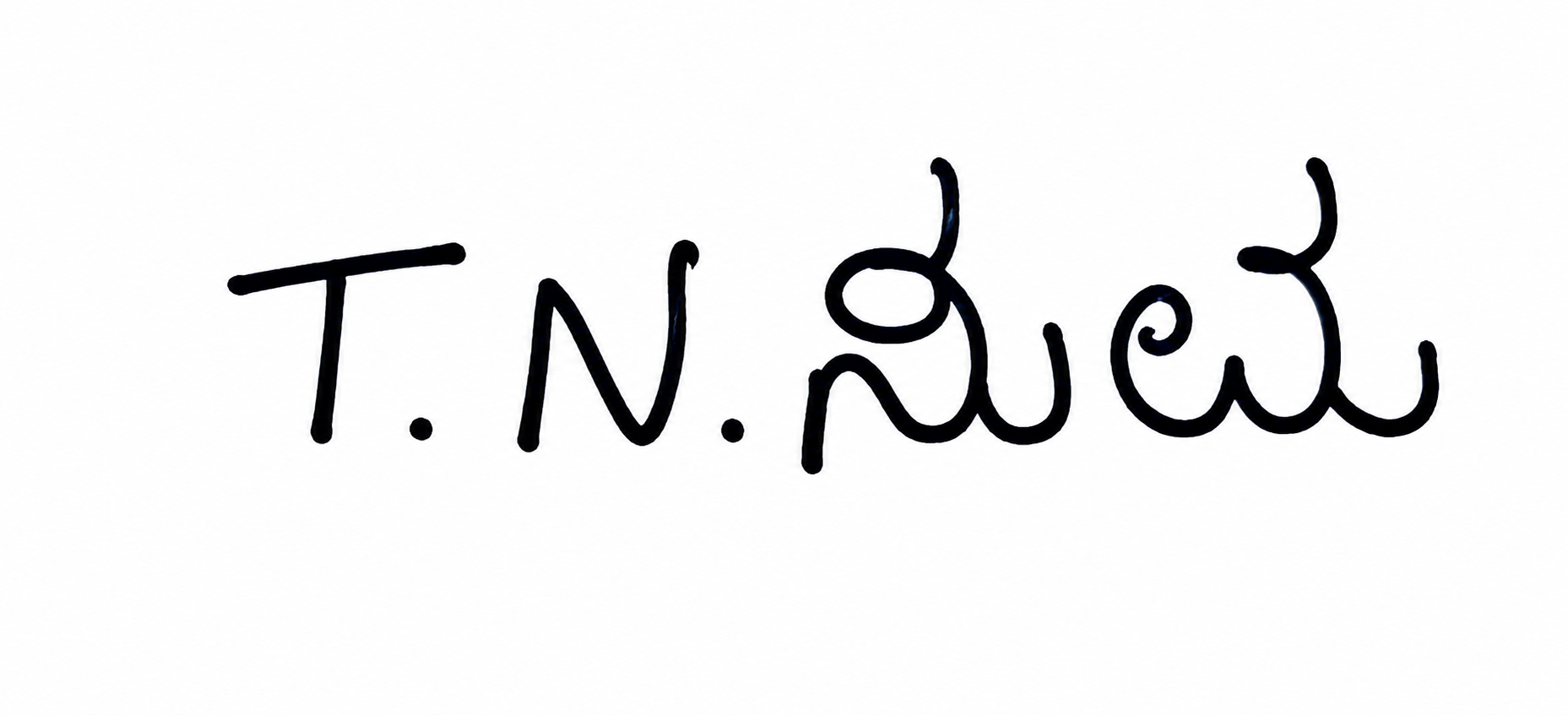 Signature preview