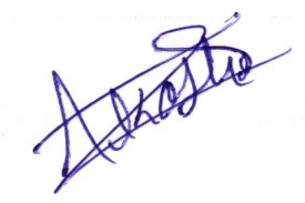 Signature preview