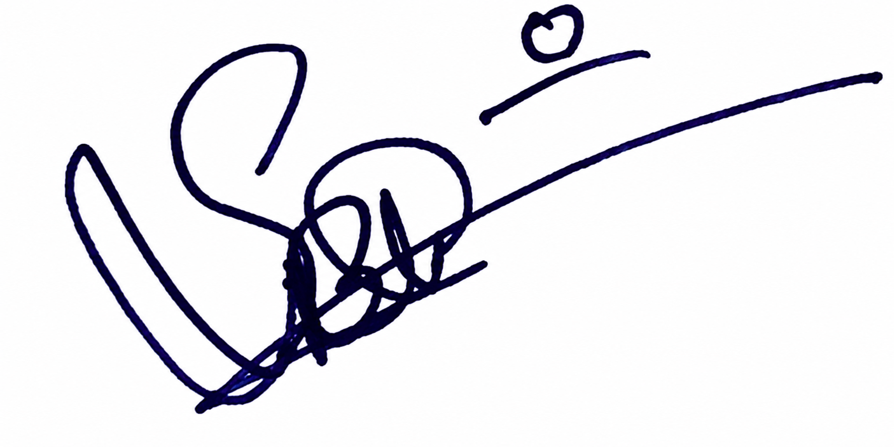 Signature preview