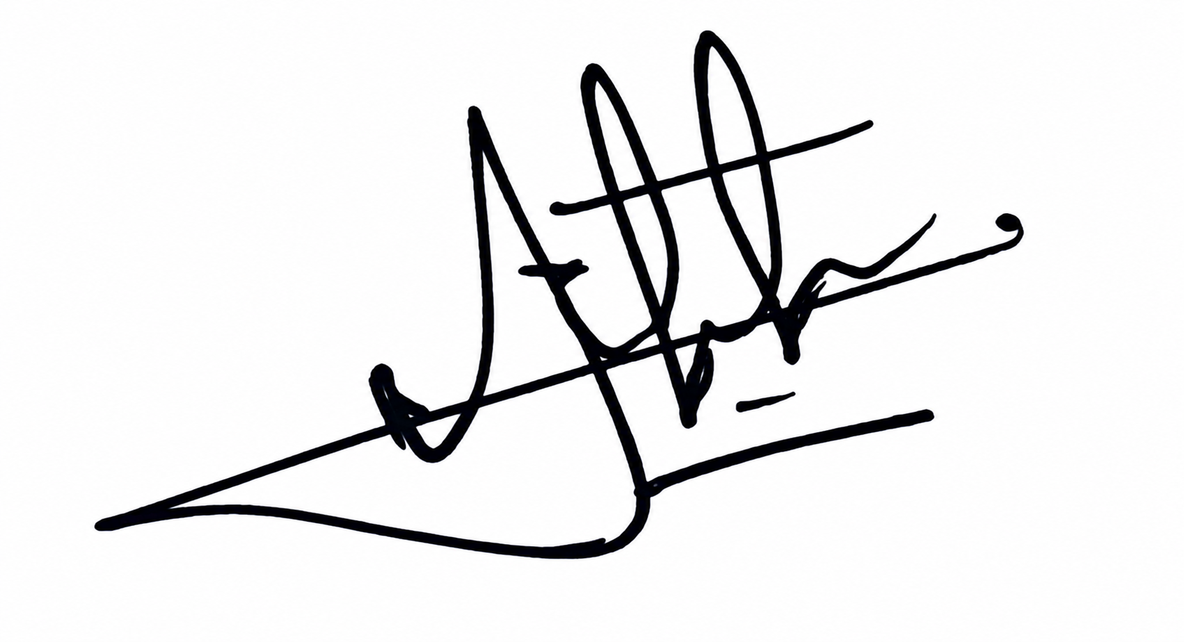 Signature preview