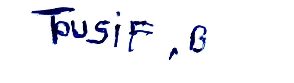 Signature preview