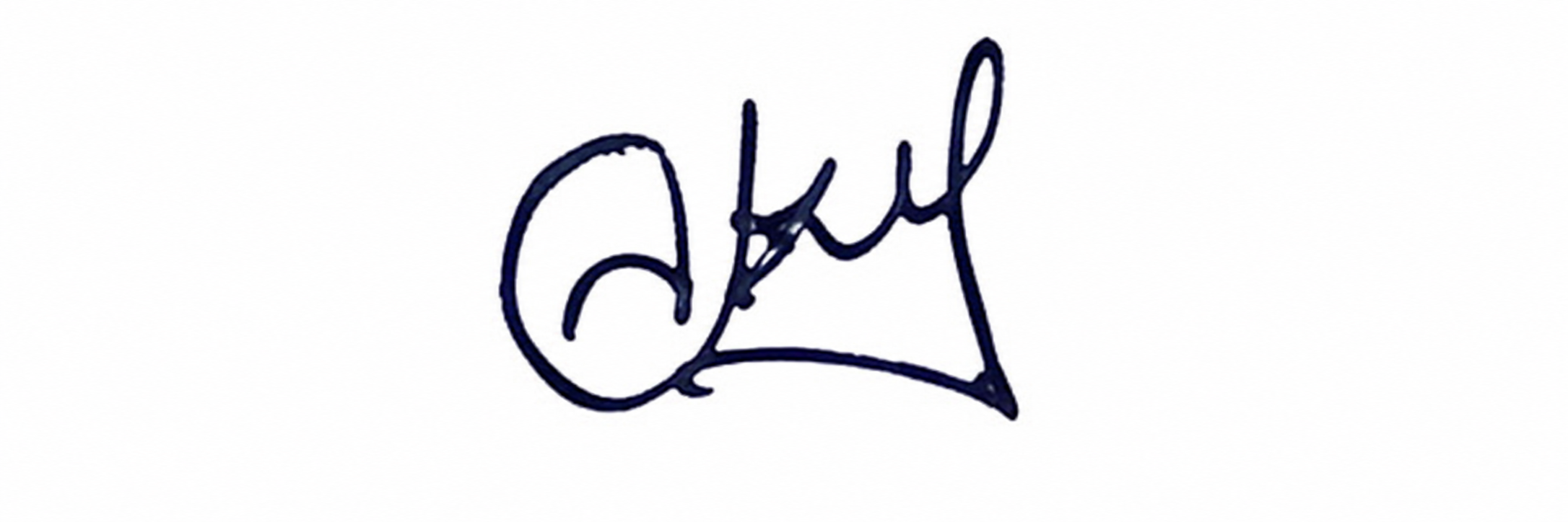 Signature preview