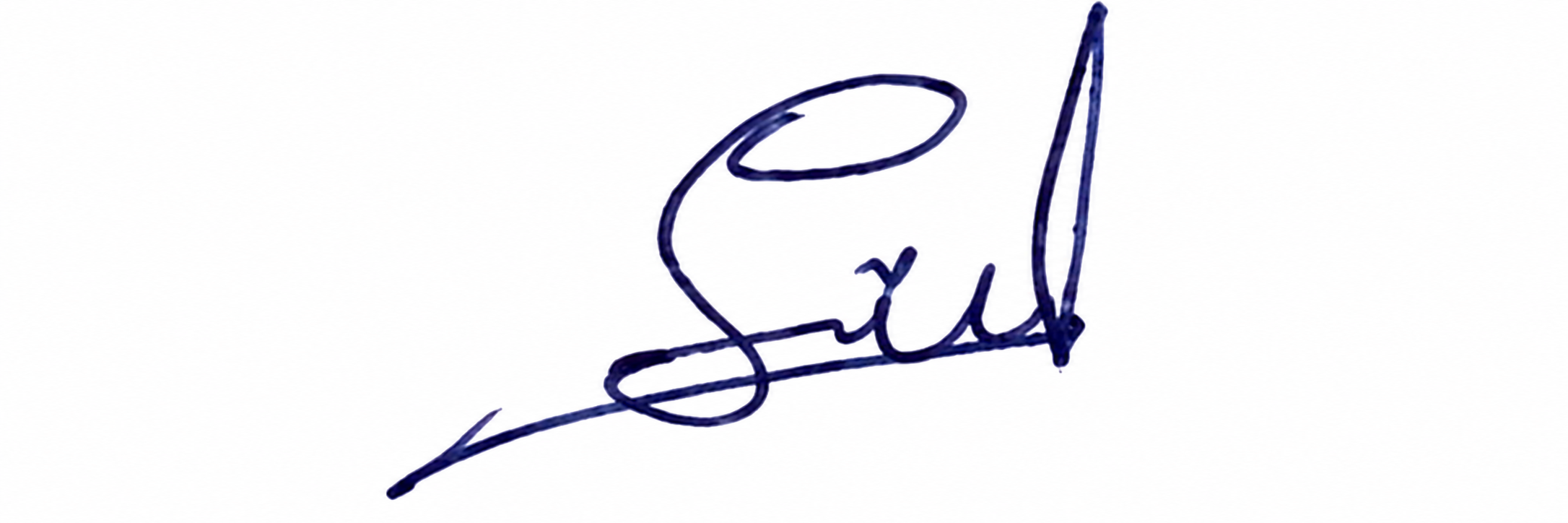 Signature preview
