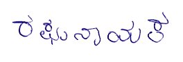 Signature preview