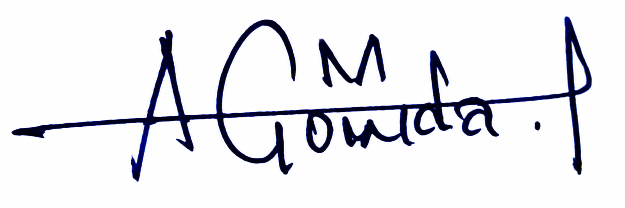 Signature preview